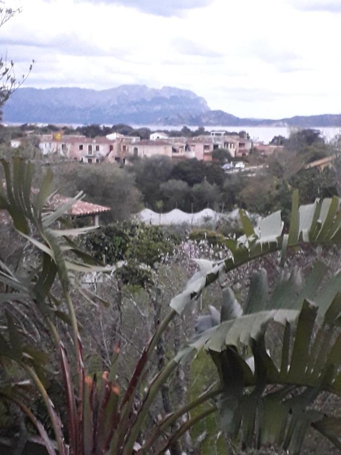 B&B Nuraghes Olbia Exterior photo